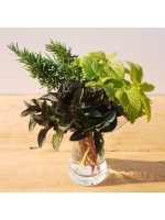 B 魔笛　フラワーベース　花瓶　鉢カバー　インテリア　置物　アート　ビョルン B 魔笛フラワーベース花瓶鉢カバーインテリア置物アートビョルン