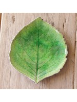 【@kuma@】COSTA NOVA リヴィエラ ハイドランジ 4枚セット コスタ・ノバ リヴィエラ ハイドランジアリーフS トマテ